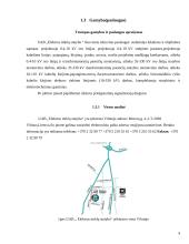 Įmonės veiklos analizė ir plėtra: UAB "Elektros tinklų statyba" 8 puslapis