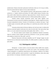 APB "Apranga" veiklos analizė 20 puslapis