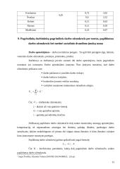 Įmonės veiklos ekonominiai rodikliai 13 puslapis