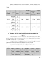 Įmonės veiklos ekonominiai rodikliai 14 puslapis