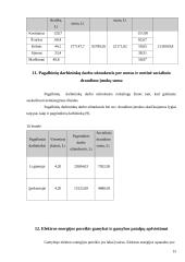 Įmonės veiklos ekonominiai rodikliai 15 puslapis