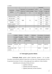 Įmonės veiklos ekonominiai rodikliai 17 puslapis