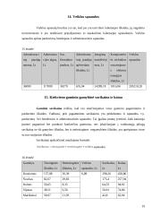 Įmonės veiklos ekonominiai rodikliai 19 puslapis