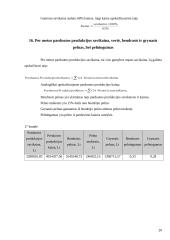 Įmonės veiklos ekonominiai rodikliai 20 puslapis