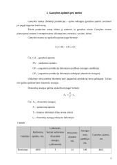 Įmonės veiklos ekonominiai rodikliai 3 puslapis