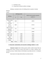 Įmonės veiklos ekonominiai rodikliai 9 puslapis