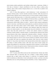 Įmonės veiklos tyrimas ir politinės, ekonominės, socialinės-kultūrinės ir technologinės aplinkų poveikis 11 puslapis