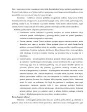 Įmonės veiklos tyrimas ir politinės, ekonominės, socialinės-kultūrinės ir technologinės aplinkų poveikis 13 puslapis