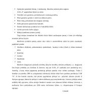 Įmonės veiklos tyrimas ir politinės, ekonominės, socialinės-kultūrinės ir technologinės aplinkų poveikis 9 puslapis