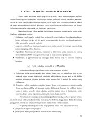 Įmonės vertės nustatymo metodika ir jos naudojimo problematika 12 puslapis