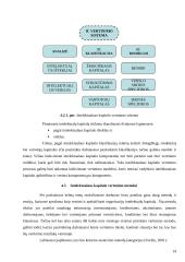 Įmonės vertės nustatymo metodika ir jos naudojimo problematika 14 puslapis