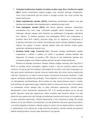 Įmonės vertės nustatymo metodika ir jos naudojimo problematika 15 puslapis