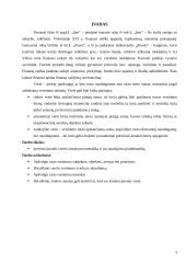 Įmonės vertės nustatymo metodika ir jos naudojimo problematika 3 puslapis