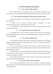 Įmonės vertės nustatymo metodika ir jos naudojimo problematika 10 puslapis