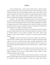 Įmonės vežimų organizavimo tobulinimas 2 puslapis