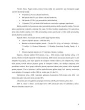 Įmonės vežimų organizavimo tobulinimas 13 puslapis