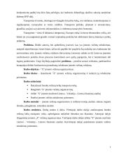 Įmonės vežimų organizavimo tobulinimas 3 puslapis