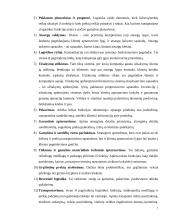 Įmonės vežimų organizavimo tobulinimas 6 puslapis