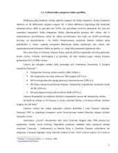 Įmonės vežimų organizavimo tobulinimas 10 puslapis