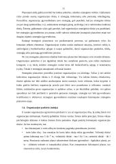 Įmonių ištekliai ir strategija: AB "Lietuvos geležinkeliai" 11 puslapis