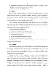 Įmonių ištekliai ir strategija: AB "Lietuvos geležinkeliai" 12 puslapis