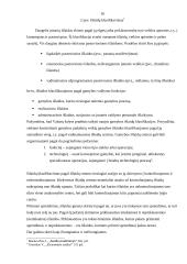 Įmonių ištekliai ir strategija: AB "Lietuvos geležinkeliai" 16 puslapis
