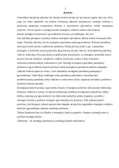 Įmonių ištekliai ir strategija: AB "Lietuvos geležinkeliai" 3 puslapis