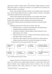Įmonių ištekliai ir strategija: AB "Lietuvos geležinkeliai" 5 puslapis