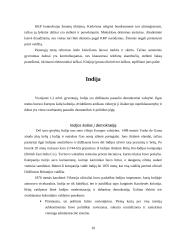 Indija ir Kinija: kodėl milžines kaimynes valdo skirtingi politiniai režimai 11 puslapis