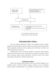 Indija ir Kinija: kodėl milžines kaimynes valdo skirtingi politiniai režimai 5 puslapis