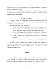 Indija ir Kinija: kodėl milžines kaimynes valdo skirtingi politiniai režimai 6 puslapis