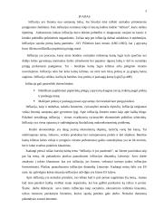 Infliacijos dinamika ir veiksniai Lietuvoje 3 puslapis