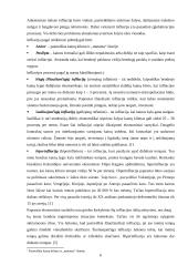 Infliacija ir infliacijos kitimo analizė Lietuvoje 6 puslapis