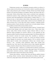 Infliacijos procesų analizė naujose Europos Sąjungos (ES) narėse 2 puslapis