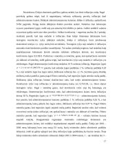 Infliacijos procesų analizė naujose Europos Sąjungos (ES) narėse 18 puslapis