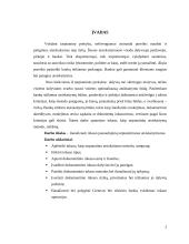 Inkaso panaudojimas tarptautiniuose atsiskaitymuose 2 puslapis