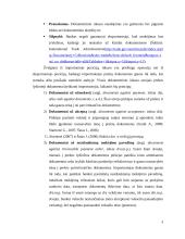 Inkaso panaudojimas tarptautiniuose atsiskaitymuose 9 puslapis