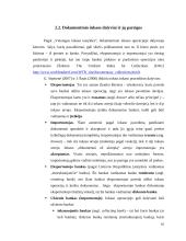 Inkaso panaudojimas tarptautiniuose atsiskaitymuose 10 puslapis