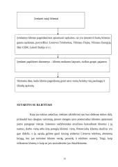 Inovacijos ir inovacijų vadybininko profesija 12 puslapis