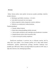 Inovacijos ir inovacijų vadybininko profesija 17 puslapis