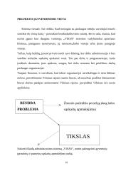 Inovacijos ir inovacijų vadybininko profesija 10 puslapis