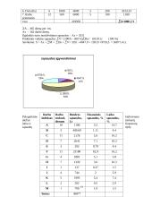 Inovacijos projektavimo ekonominis įvertinimas: vietinis siuntų gabenimas 13 puslapis