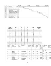 Inovacijos projektavimo ekonominis įvertinimas: vietinis siuntų gabenimas 9 puslapis