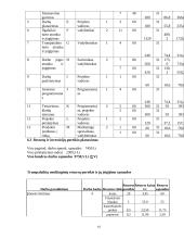 Inovacijos projektavimo ekonominis įvertinimas: vietinis siuntų gabenimas 10 puslapis