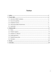 Inovacinis projektas: informacinė-pramoginė laida jaunimui 2 puslapis