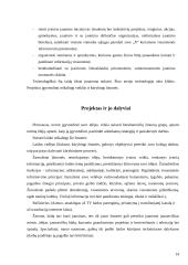 Inovacinis projektas: informacinė-pramoginė laida jaunimui 14 puslapis