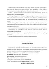 Inovacinis projektas: informacinė-pramoginė laida jaunimui 15 puslapis