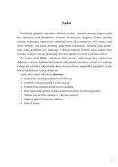 Inovacinis projektas: informacinė-pramoginė laida jaunimui 3 puslapis