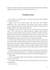 Inovacinis projektas: informacinė-pramoginė laida jaunimui 6 puslapis