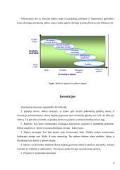 Inovacinis projektas: informacinė-pramoginė laida jaunimui 9 puslapis